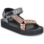 Sandalen D.Franklin 404 FOREST HIGH