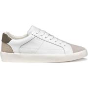 Sneakers Geox Baskets Affile A