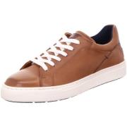 Sneakers Lloyd -