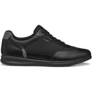 Sneakers Geox Baskets Avery C