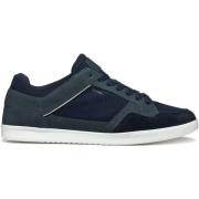 Sneakers Geox Baskets Walee B