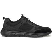 Sneakers Geox Baskets Portello A