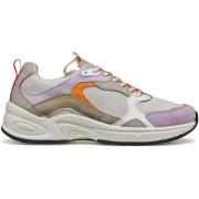 Sneakers Geox Baskets femme Zarvia A