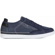 Sneakers Geox Baskets Walee