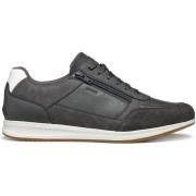 Sneakers Geox Baskets Avery A