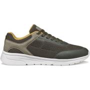 Sneakers Geox Baskets Klaiver B
