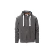 Sweater Payper Wear Sweatshirt à capuche Payper Dallas+