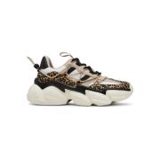 Sneakers Steve Madden Baskets femme Spectator-L