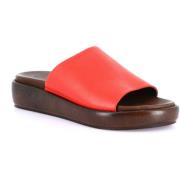 Slippers Grunland DSG-CI1898