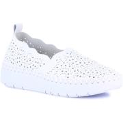 Klassieke Schoenen Grunland DSG-SC4374