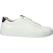 Sneakers Blackstone Baskets Low - RM50