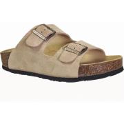 Slippers Plakton Cp beta