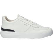 Sneakers Blackstone Baskets Radley