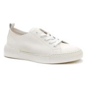 Lage Sneakers Keddo -