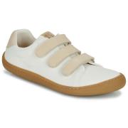 Lage Sneakers Dream in Green ZAPHIRA