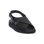 Sandalen Frau CACHEMIRE BLACK