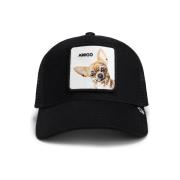 Pet Goorin -