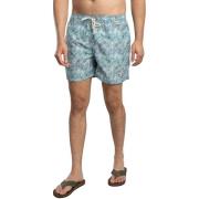 Zwembroek Barbour Devon zwemshorts
