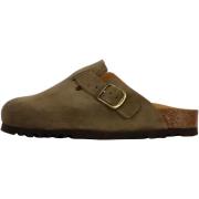 Slippers Scholl 259463