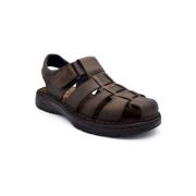 Lage Sneakers Fluchos F2198 Bruin