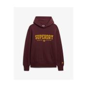 Sweater Superdry Sweatshirt à capuche Core Sport