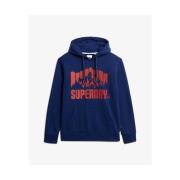 Sweater Superdry Sweatshirt à capuche Mountain Rainbow