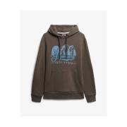 Sweater Superdry Sweatshirt à capuche Outfitters