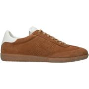 Sneakers Blackstone Baskets Lime Wren Perf