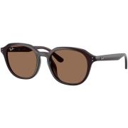 Zonnebril Ray-ban UNISEX 0RB4459D 623173