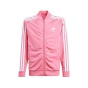 Blazer adidas -