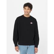 Sweater Dickies MILLERSBURG CREW DK0A4YLZ SWEATSHIRT-BLK BLACK