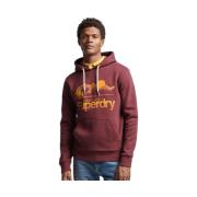 Sweater Superdry Sweatshirt à capuche Cl Great