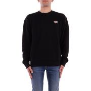 Trui Dickies DK0A4YLZ