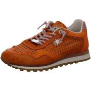 Nette Schoenen Cetti -