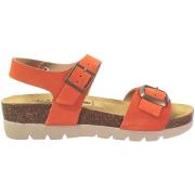 Sandalen Plakton Cool