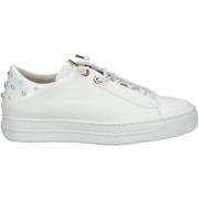 Lage Sneakers Paul Green Sneaker