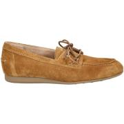 Bootschoenen Paul Green Halfhoge schoenen