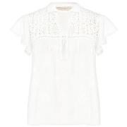 Windjack Rinascimento CFC0125911003