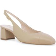 Pumps Melluso E1301Z-247449