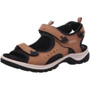Fitness Schoenen Ecco -