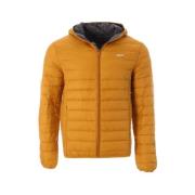 Donsjas Schott -