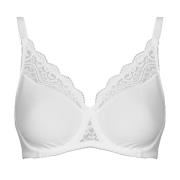 Minimizer bh Triumph Amourette W01