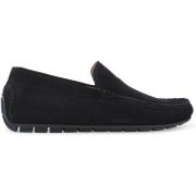 Mocassins Melluso U16012Z-247145