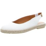 Ballerina's Verbenas -