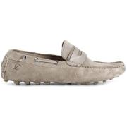 Mocassins Café Noir C1TR6111