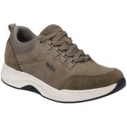 Lage Sneakers Josef Seibel -