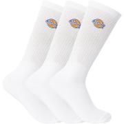 Socks Dickies Set van 3 Valley Grove-sokken