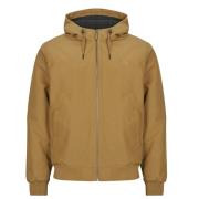 Windjack Element DULCEY