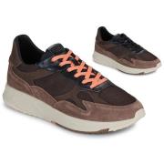 Lage Sneakers Clae ZUMA