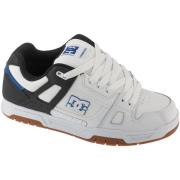 Lage Sneakers DC Shoes Shoes Stag